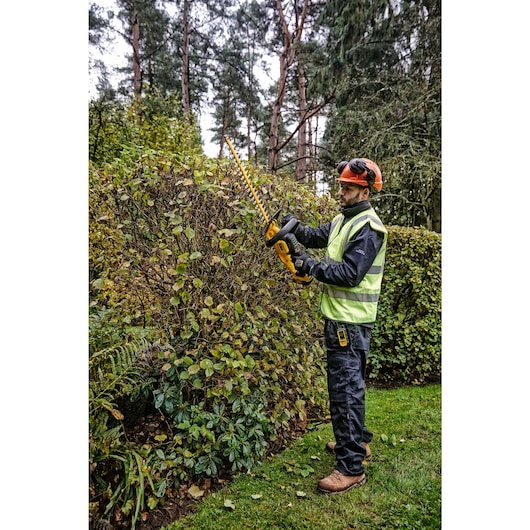 18V XR 55CM Hedge Trimmer - 1 x 5Ah