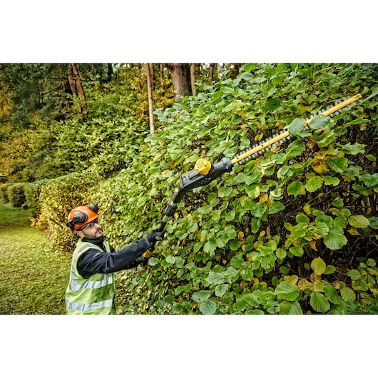 18V XR Pole Hedge Trimmer - 1x 5.0Ah