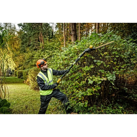 18V XR Pole Hedge Trimmer - 1x 5.0Ah
