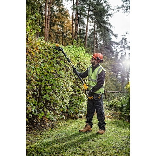 18V XR Pole Hedge Trimmer - 1x 5.0Ah