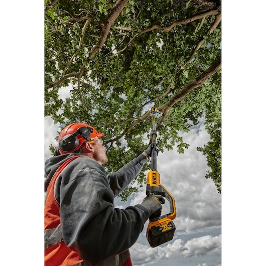 18V XR® Pole Saw