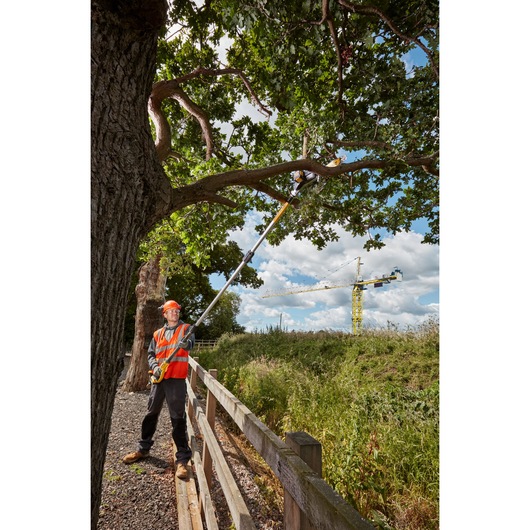 18V XR® Pole Saw