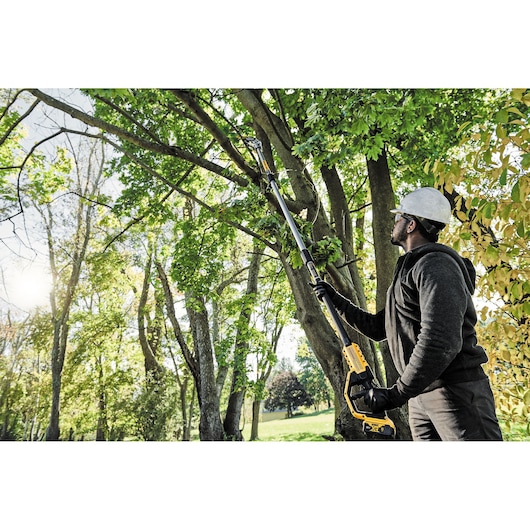 18V XR® Pole Saw