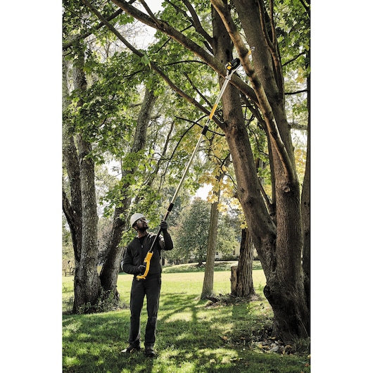 18V XR® Pole Saw